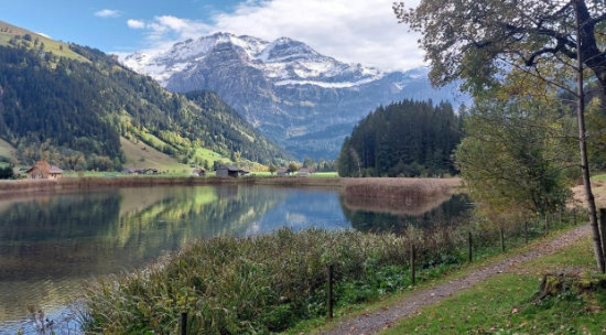 lenk